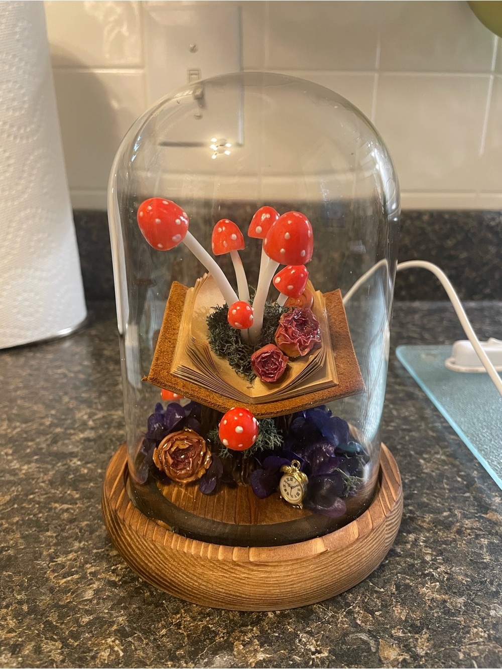 Story book themed light up dome